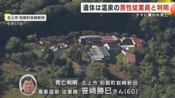 ▲▼日女星勸警覺「熊害很像疫情初期」,震驚友人遭熊襲身亡。(圖/翻攝自X)