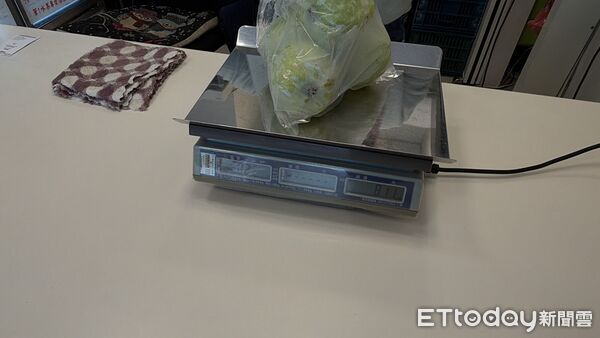 ▲▼天母芭樂 。(圖/記者黃宥寧攝)