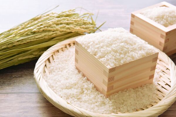 稻農建議可用寶特瓶保存白米冰存在冰箱,能避免長米蟲。(示意圖,photoAC)