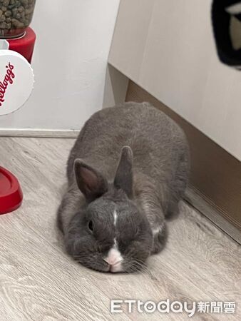 ▲。(圖/Threads@caca_0305提供,請勿隨意翻拍,以免侵權。)