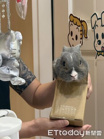 ▲。(圖/Threads@caca_0305提供,請勿隨意翻拍,以免侵權。)