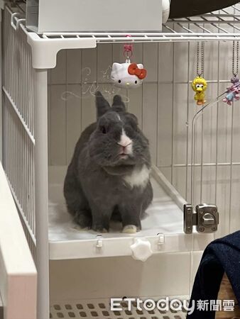 ▲。(圖/Threads@caca_0305提供,請勿隨意翻拍,以免侵權。)