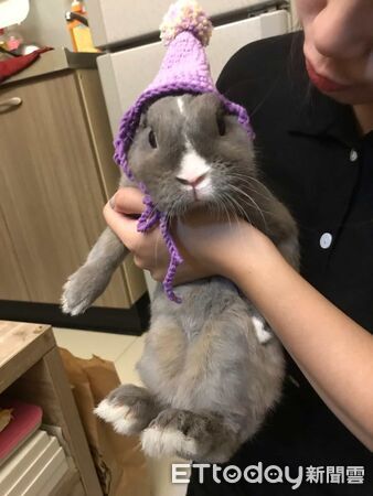 ▲。(圖/Threads@caca_0305提供,請勿隨意翻拍,以免侵權。)