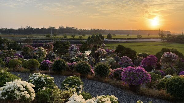 ▲▼藏九花園。(圖/翻攝自藏九花園臉書專頁)