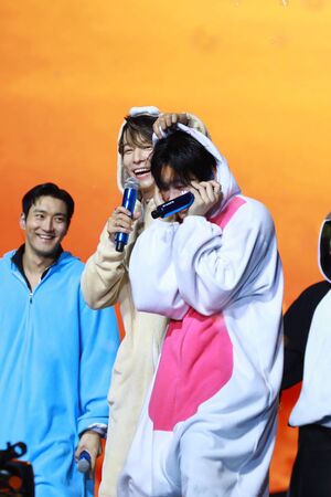 ▲▼ ▲▼ ▲▼ 直擊/SJ還要唱臺北大巨蛋! 金希澈霸氣發話:我們50年後原地見。(圖/讀者提供)