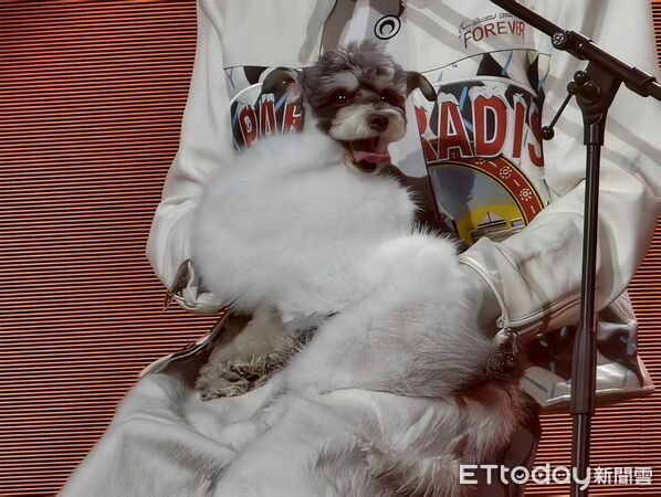 ▲▼ 劉宇寧北京演唱會、2025.11.15 。(圖/記者任以芳攝)