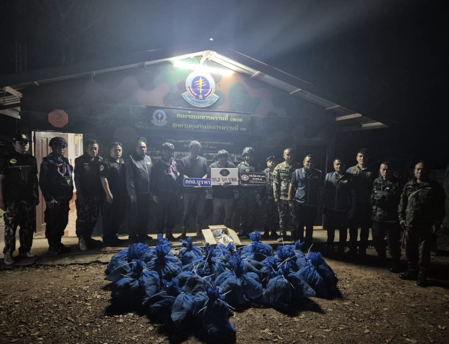 ▲▼81獼猴慘淪「藥物實驗品」!泰破獲走私集團。(圖/翻攝自民意報)