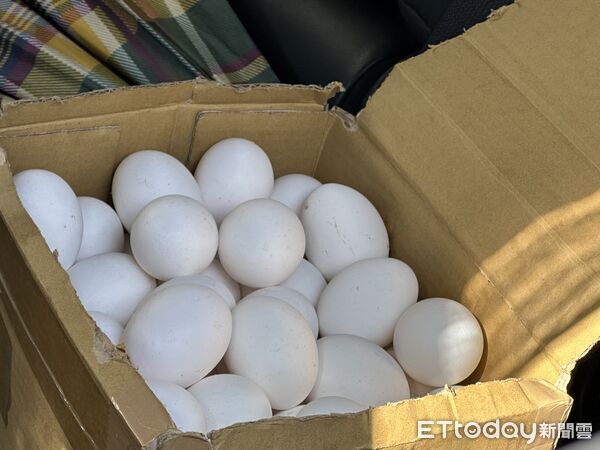 ▲▼ 。(圖/民眾提供)