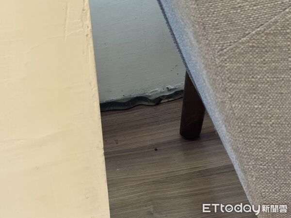 ▲▼ 。(圖/記者鄧木卿攝)