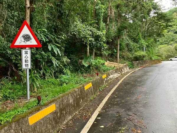 ▲新北攜手政大推動路殺防治。(圖/新北市農業局提供)