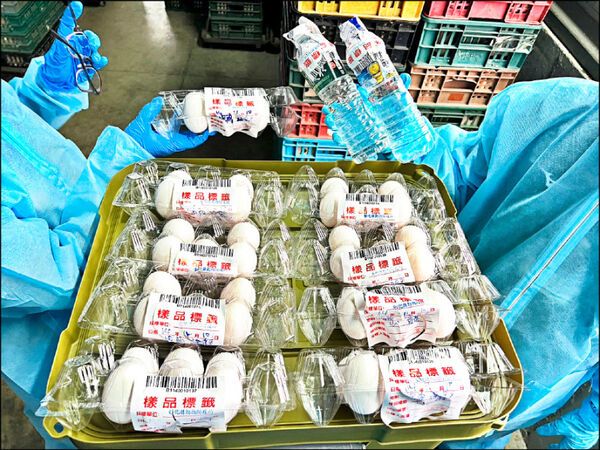 ▲彰化文雅畜牧場含普芬尼雞蛋外流。(圖/縣府提供)