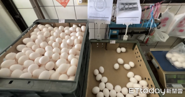 ▲▼ 。(圖/民眾提供)