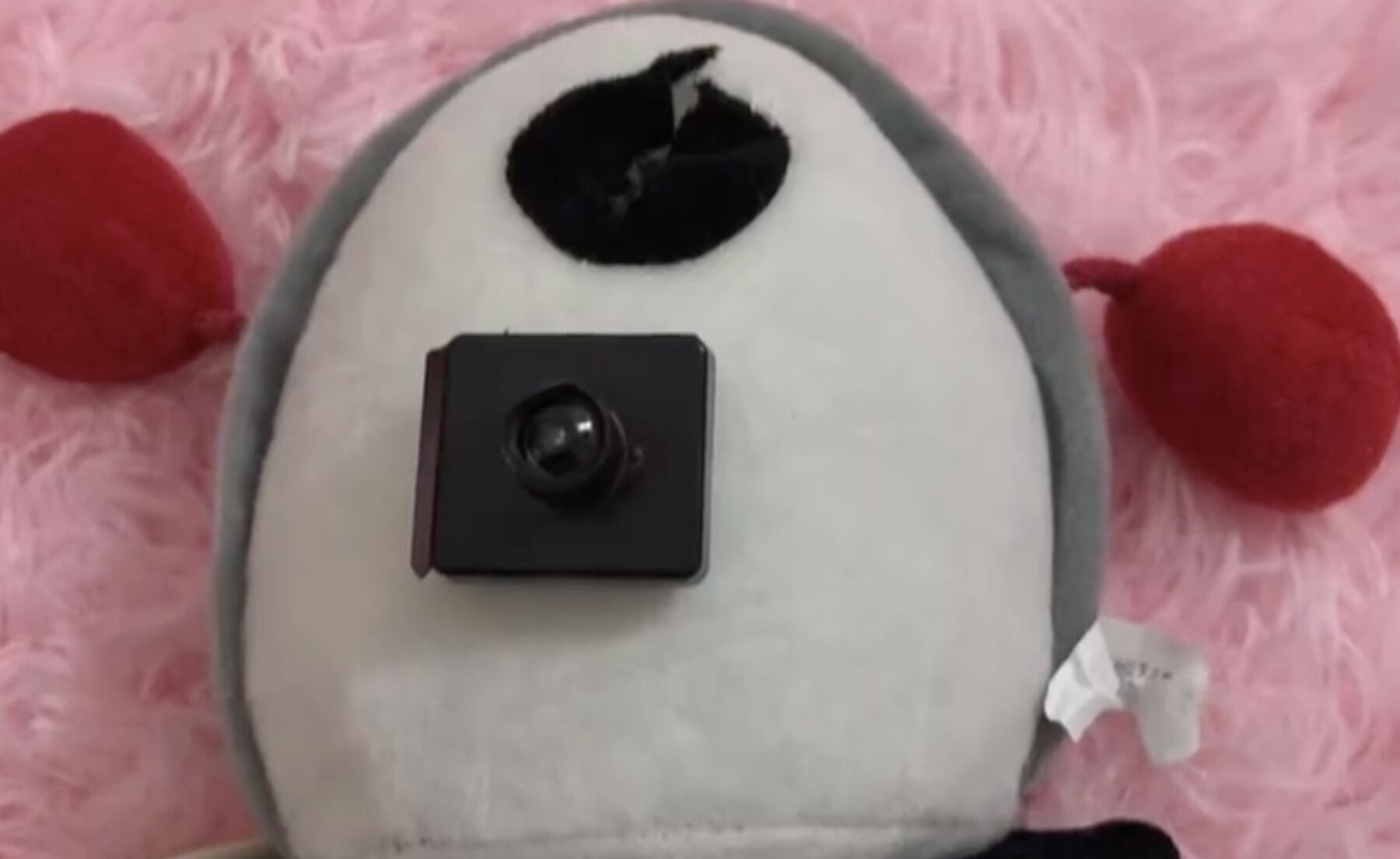 ▲廣西一名女子網購玩偶時,發現其中一隻玩偶眼睛藏有鏡頭。(圖/翻攝微博)