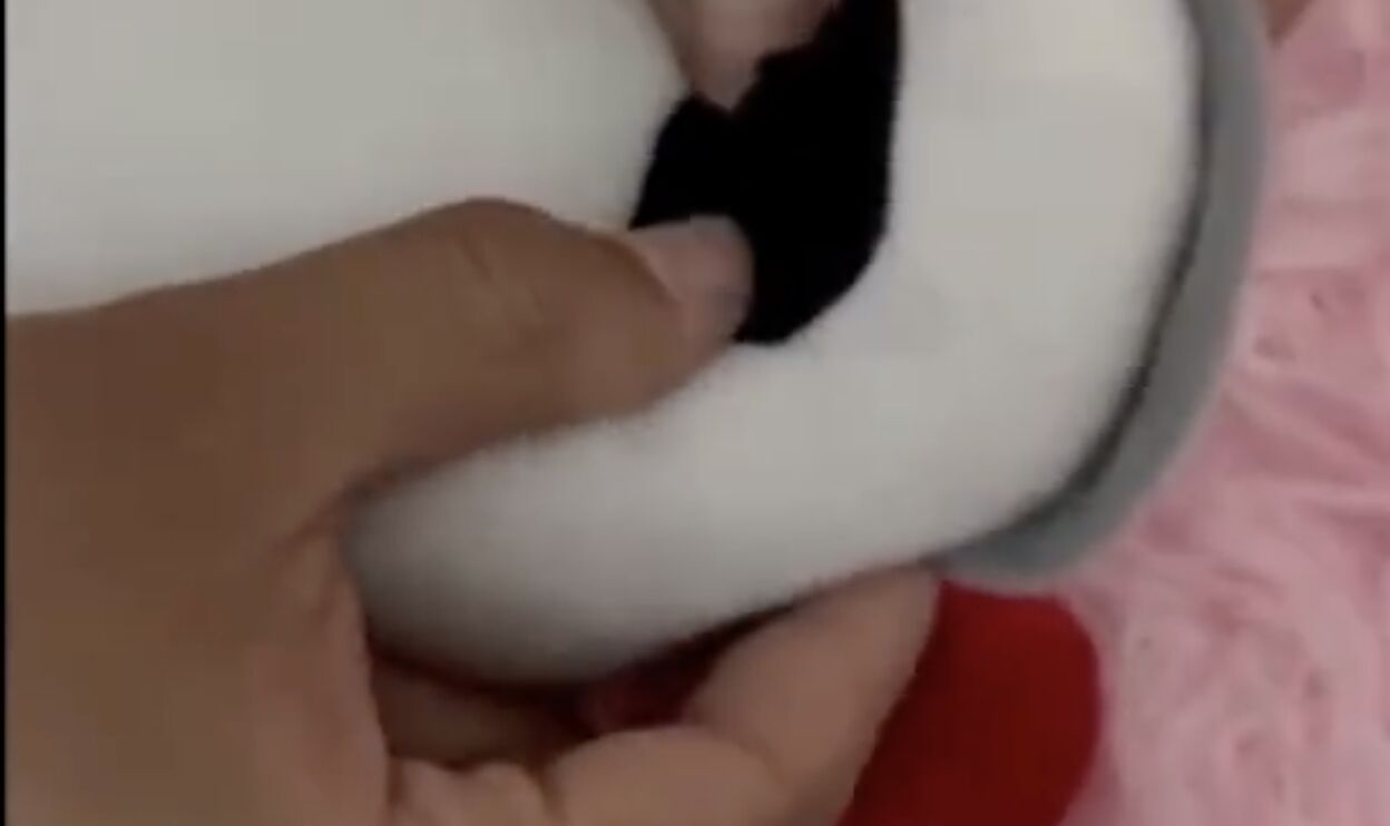 ▲廣西一名女子網購玩偶時,發現其中一隻玩偶眼睛藏有鏡頭。(圖/翻攝微博)