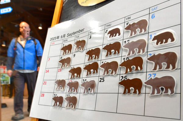 ▲▼日本,熊。(圖/達志影像/美聯社)