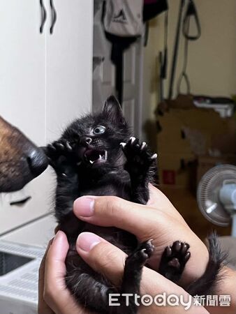 ▲。(圖/Threads@pmht03__提供,請勿隨意翻拍,以免侵權。)