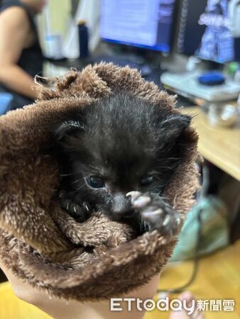 ▲。(圖/Threads@pmht03__提供,請勿隨意翻拍,以免侵權。)