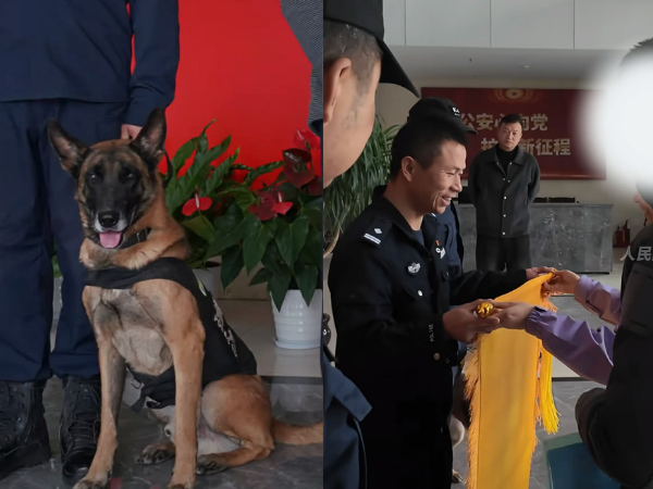 ▲大陸78歲失智老翁失蹤1天 警犬冷靜破案:看見獎勵肉肉秒破功。(圖/翻攝自微博/人民網、央視新聞)