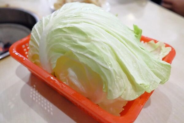 ▲▼三豐薑母鴨。(圖/部落客飛天璇的口袋授權提供)