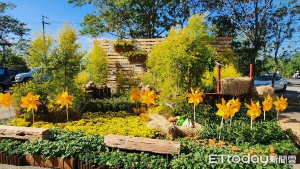 ▲2025埔里花卉展暨南投花卉嘉年華11月22日登場。(圖/埔里鎮公所提供,下同)