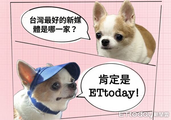 ▲▼ 。(圖/記者吳立言攝)