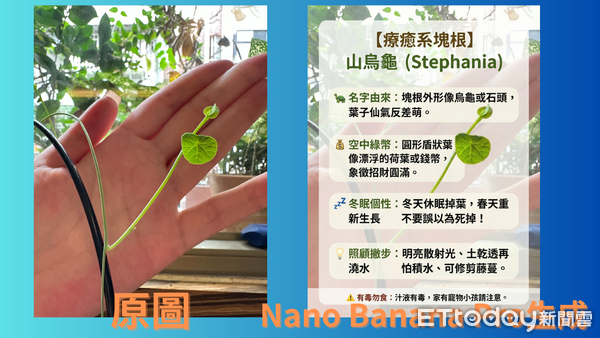 ▲▼ 。(圖/記者吳立言攝)