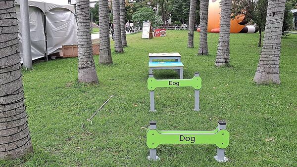 ▲新北毛寶貝耶誕趴11/29開跑。(圖/新北市動保處提供)