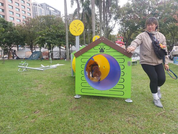 ▲新北毛寶貝耶誕趴11/29開跑。(圖/新北市動保處提供)