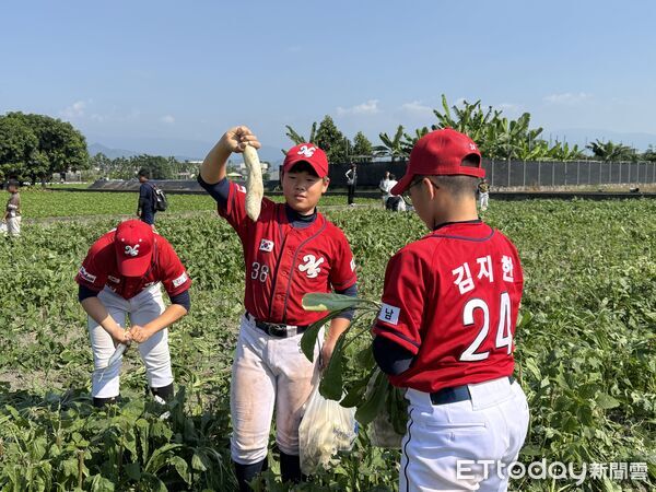 ▲彩繪紙傘活動以及選手之夜(圖/記者胡冠辰攝,下同)