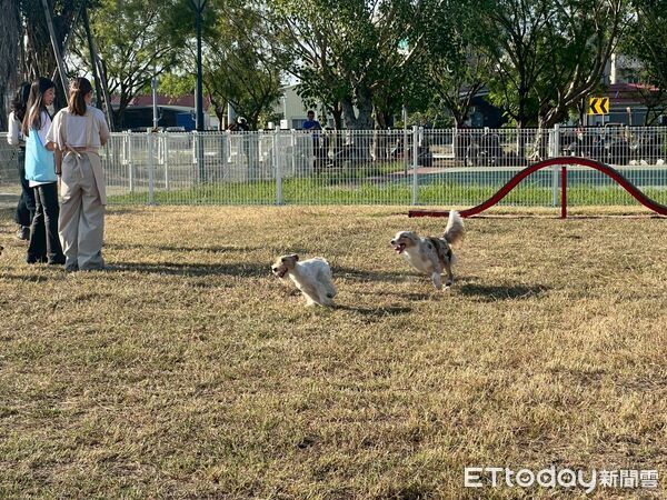 ▲台南安南東和里寵物友善公園啟用,吸引許多飼主帶毛孩共襄盛舉。(記者林東良翻攝,下同)