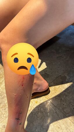 ▲▼岳啟儒。(圖/翻攝自Facebook/岳啟儒)