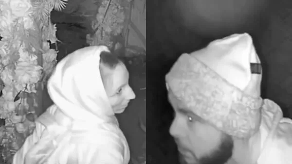 ▲▼先啪後搶!男女「花園激戰」轉身破門偷錢 餐廳怒PO監視照。(圖/翻攝TikTok)