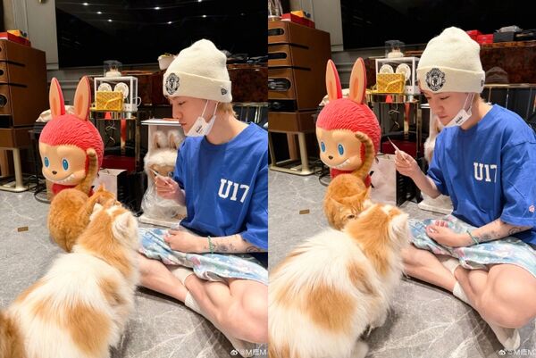 ▲▼鹿晗3.6億豪宅內裝曝光「衛生紙盒就要3000元」。(圖/翻攝自微博/M鹿M)