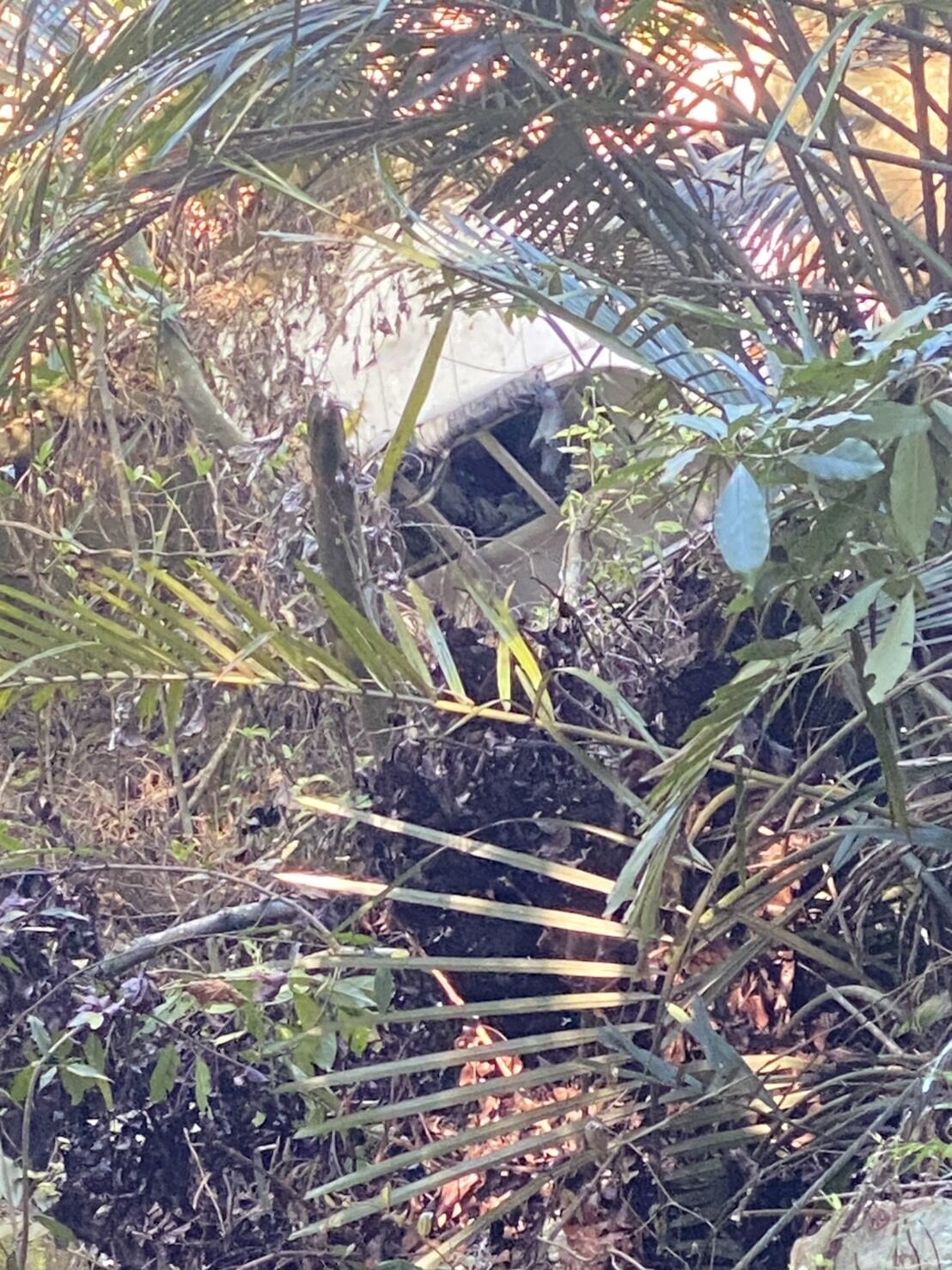 ▲男子失蹤後家屬苦尋,未料竟在竹林深處連人帶車被發現,已成乾屍。(圖/記者高堂堯翻攝)