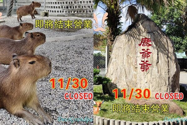 ▲▼ 。(圖/翻攝自鹿爺爺農場FB)