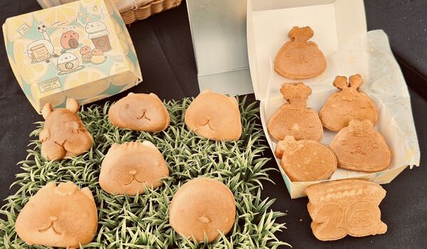 ▲「呆在碧潭の水豚君」即日起展至12月28日,水豚君人偶、快閃店、造型雞蛋糕假日限定。(圖/新北市觀旅局提供)