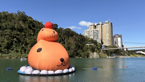 ▲「呆在碧潭の水豚君」即日起展至12月28日,水豚君人偶、快閃店、造型雞蛋糕假日限定。(圖/新北市觀旅局提供)