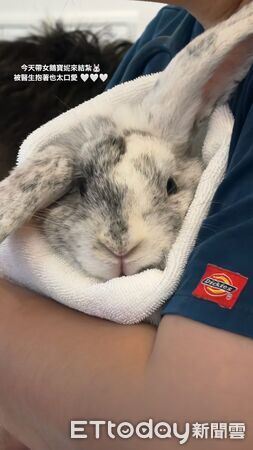 ▲。(圖/Threads@sherrychen911提供,請勿隨意翻拍,以免侵權。)