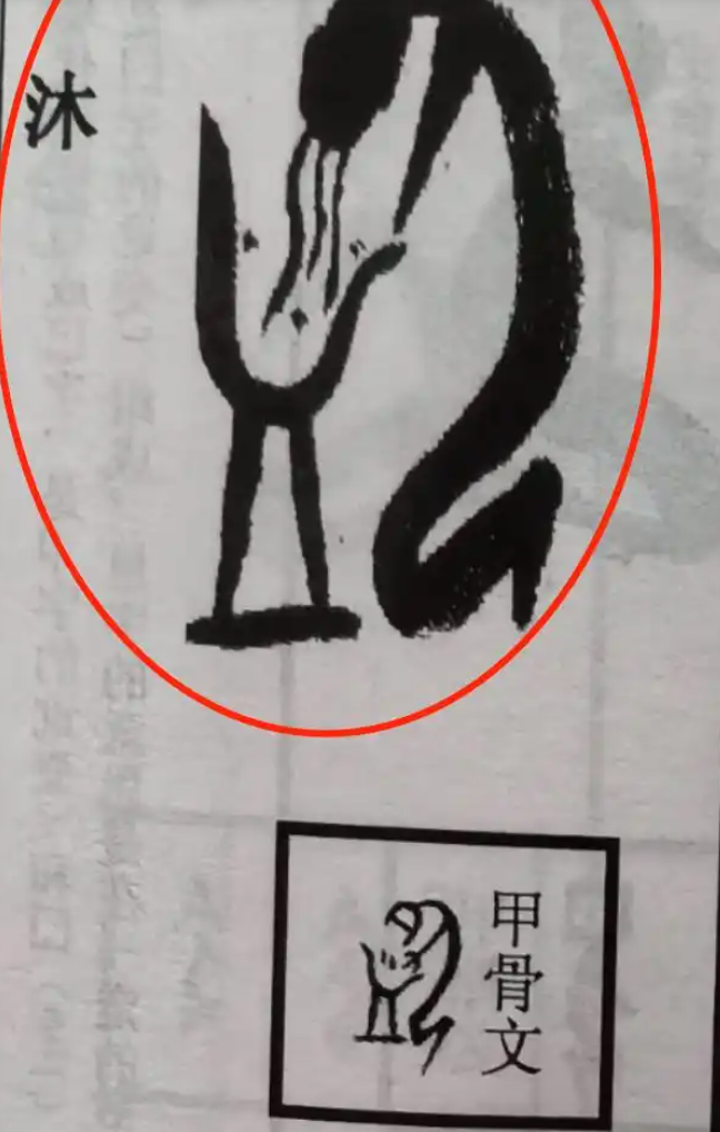 ▲▼ 甲骨文、盜 。(圖/翻攝 上觀新聞)