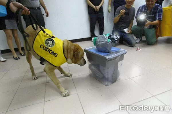 ▲緝毒犬Pablo。(圖/資料照)