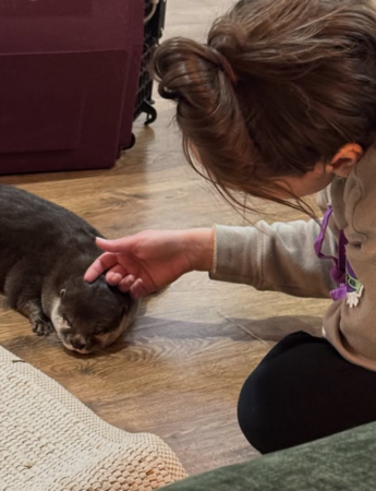 搜救水獺。(圖/翻攝自IG@splashsarotter2024)