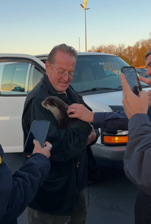 搜救水獺。(圖/翻攝自IG@splashsarotter2024)