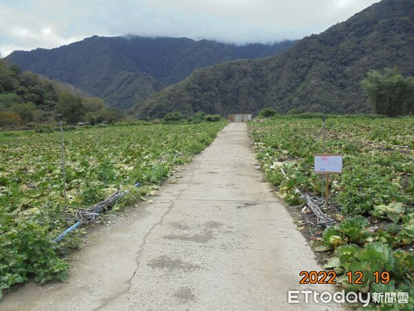 ▲6項黃金飾品經專業鑑定,成色970至998間純度極高。(圖/花蓮分署,下同)