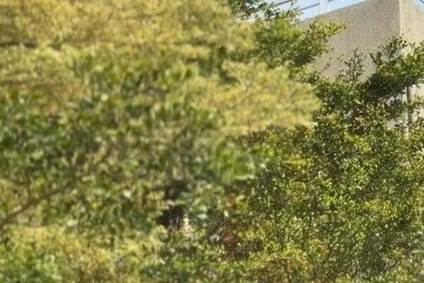 ▲校方及律師與當鋪業者說明。(圖/記者唐詠絮翻攝)