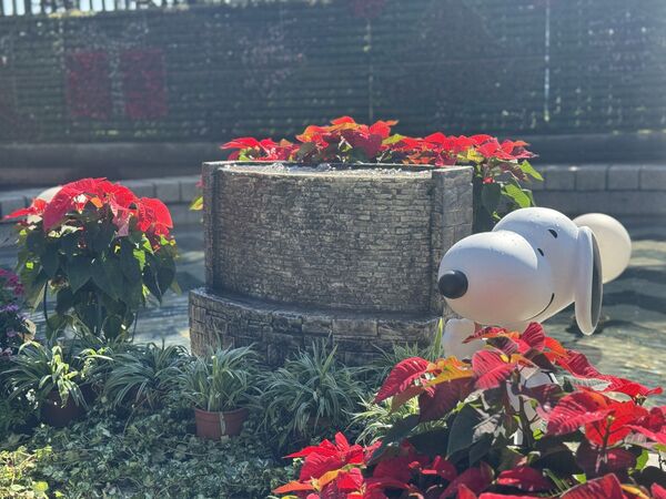 ▲台北「公館聖誕季」今年「史努比」和「糊塗塌客」驚喜現身自來水園區,11月29日開幕日全天免費入園。(圖/翻攝自自來水園區粉專及官網)