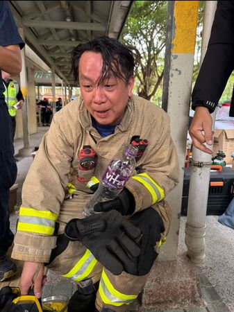 香港消防員救9貓1狗。(圖/翻攝自北義之士、兔兔基地動物救援 Bunny Base Rescue)