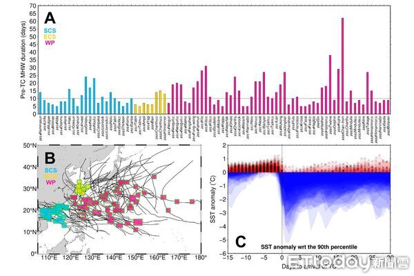 ▲▼中央大學潘任飛教授參與研究團隊發現,颱風有助抑制海洋熱浪,讓水中生物有喘息機會。(圖/中央大學提供)