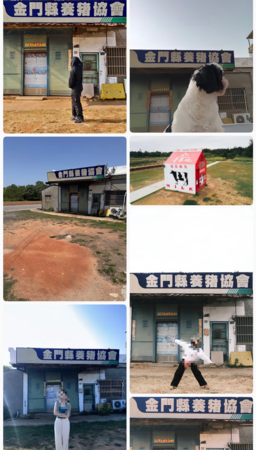 ▲▼陸客愛去金門縣養豬協會外拍照。(圖/翻攝小紅書)