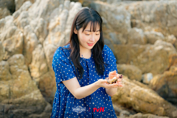 ▲▼「5種有毒伴侶」快遠離。(圖/翻攝自FB/tvN DRAMA)