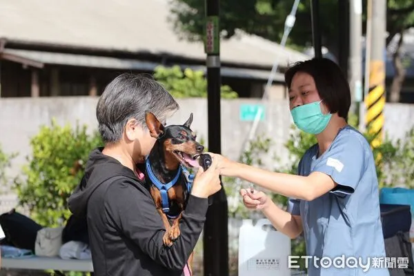 ▲北區長興生態寵物公園29日啟用園遊會,免費狂犬病疫苗+七合一排隊搶爆。(記者林東良翻攝,下同)